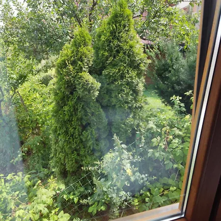 Vista Knoll Saraievo